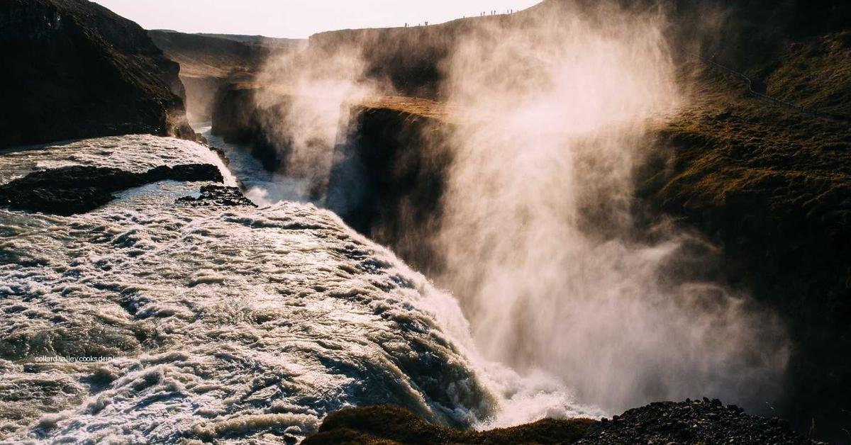 collard valley cooks drink